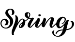 brand_10 Brand 10