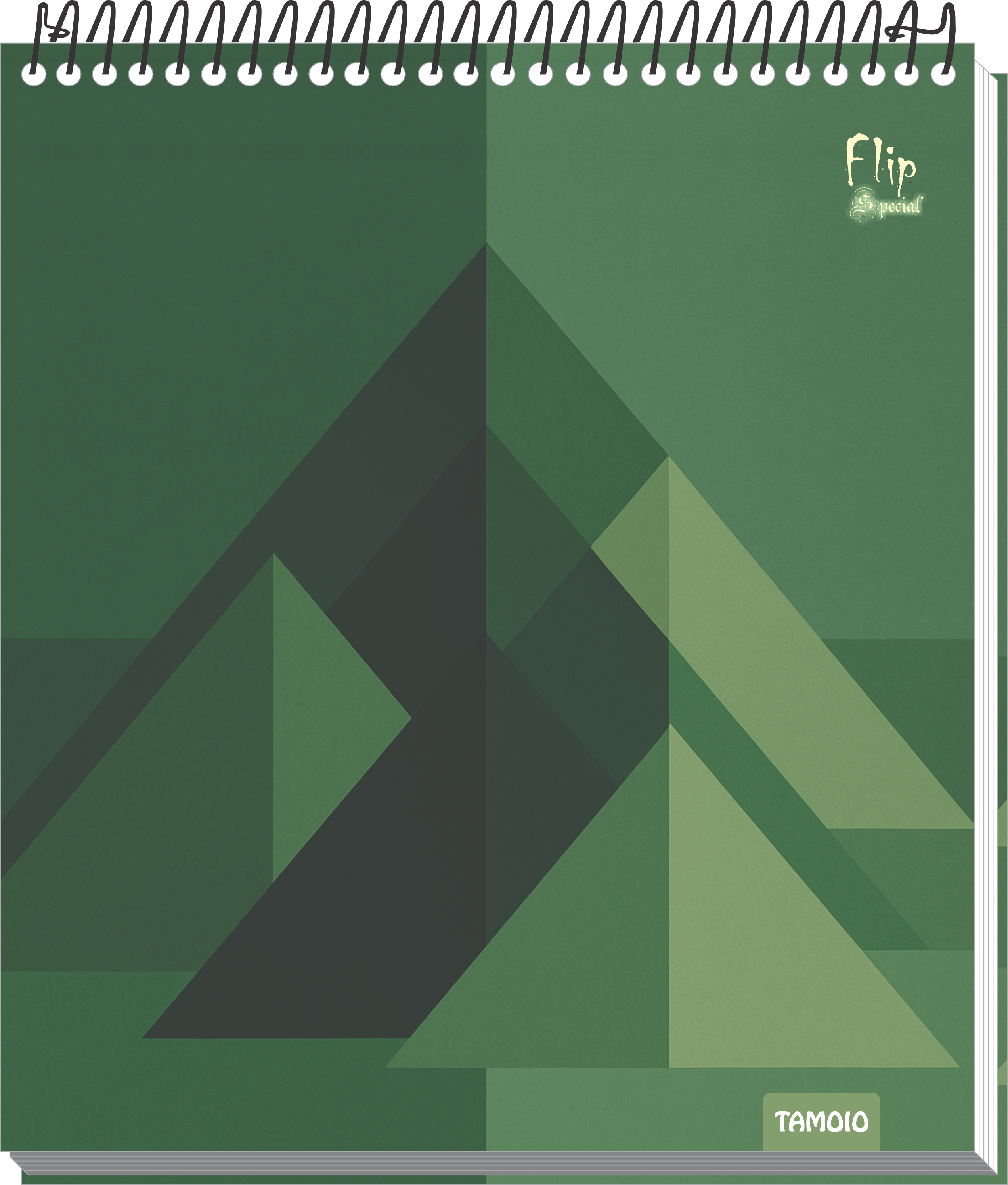 2520 2544 flip special capa 2